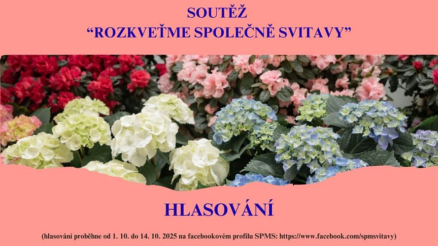 Soutěž Rozkveťme společně Svitavy jde do finiše. Hlasujte.