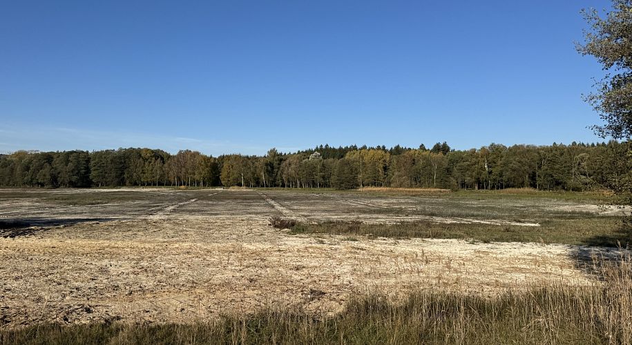 Další etapa revitalizace Rosničky před dokončením